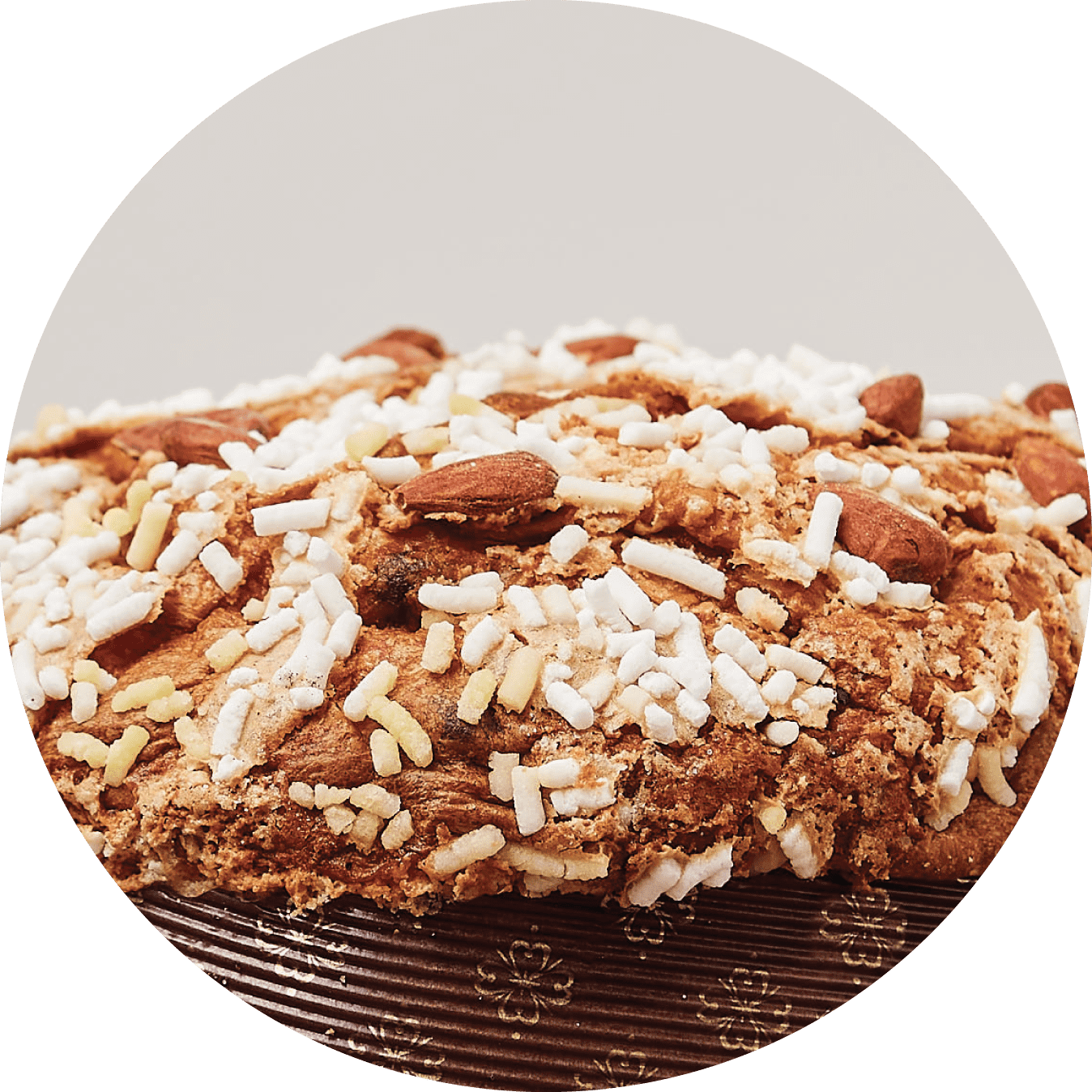 colomba artigianale